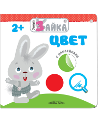 Умный зайка. Цвет