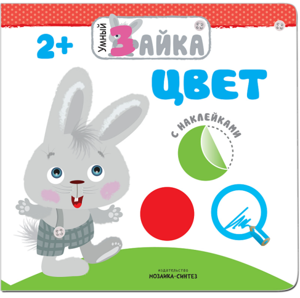 Умный зайка. Цвет
