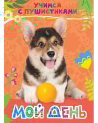 Мой день
