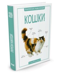 Кошки