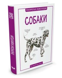 Собаки