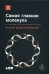 Обложка книги «Самая главная молекула. От структуры ДНК к биомедицине XXI века» — Франк-Каменецкий Максим Давидович, ISBN 9785916716481