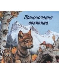Приключения волчонка