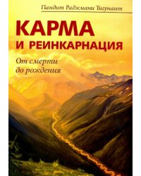 Карма и реинкарнация. От смерти до рождения