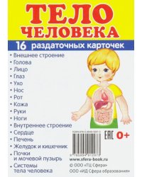 Раздаточные карточки. Тело человека