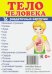 Раздаточные карточки. Тело человека