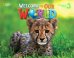 Welcome to Our World 3. Big Book