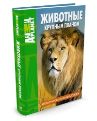 Животные крупным планом. Иллюстрированная энциклопедия. Animal Planet