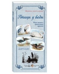 Птицы у воды. Реки касаясь трепетным крылом