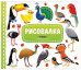 Птицы. Рисуем пошагово