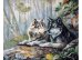 Обложка книги «Живопись на холсте "Пара", 40x50 см»