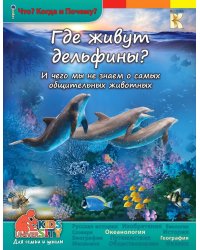 Где живут дельфины? И чего мы не знаем о самых общительных животных