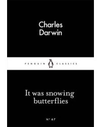 It Was Snowing Butterflies