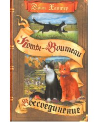 Месть Звездного Луча. Том 2. Воссоединение