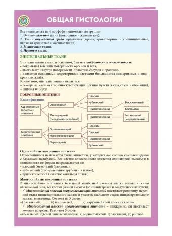 Обложка книги «Общая гистология», ISBN 9785699962341