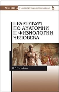 Практикум по анатомии и физиологии человека. Учебное пособие