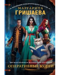 Высшая правовая магическая академия. Оперативные будни