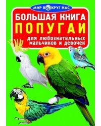 Большая книга. Попугаи. Для любознательных мальчиков и девочек