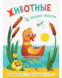 Книжки-гармошки. Животные средней полосы