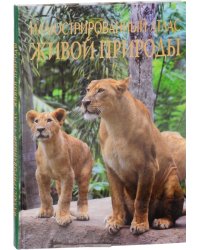 Иллюстрированный атлас живой природы