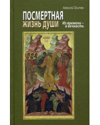Посмертная жизнь души. Из времени - в вечность (+ CD-ROM)