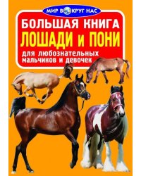 Большая книга. Лошади и пони. Для любознательных мальчиков и девочек