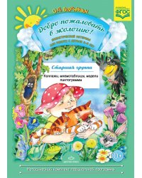Добро пожаловать в экологию! Дидактический материал для работы с детьми 5-6 лет. Старшая группа. Коллажи, мнемотаблицы, модели, пиктограммы. ФГОС