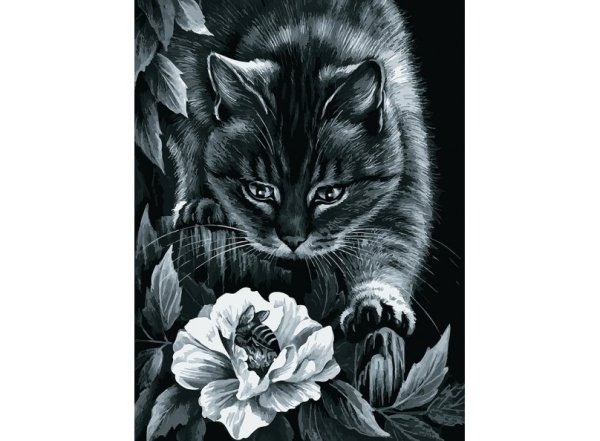 Обложка книги «Набор для рисования "Ночные приключения", 30x40 см»