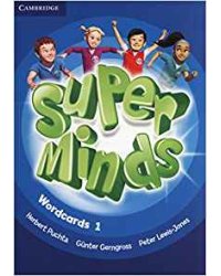Super Minds Level 1 Wordcards (Pack of 90)