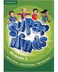 Super Minds Level 2 Wordcards (Pack of 81)