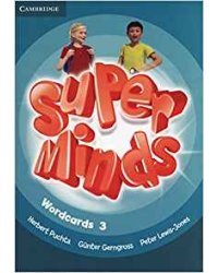 Super Minds Level 3 Wordcards (Pack of 83)