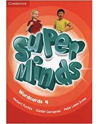 Super Minds Level 4 Wordcards (Pack of 89)