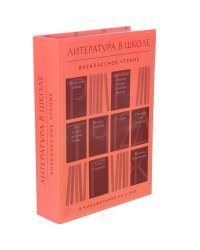 DVD. Литература в школе. Внеклассное чтение (количество DVD дисков: 8)
