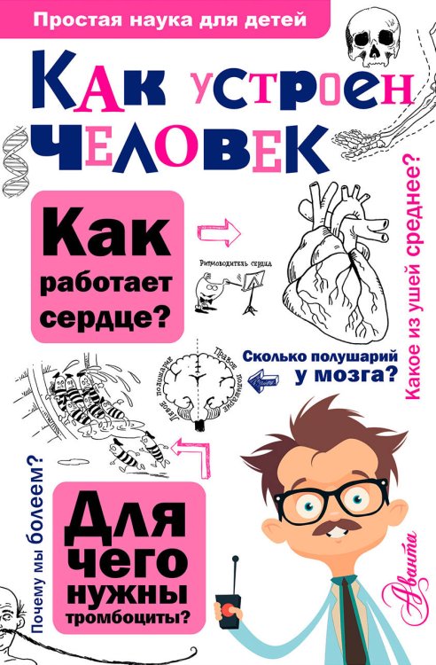 Обложка книги «Как устроен человек» — Сергеев Б.Ф., ISBN 9785171028695