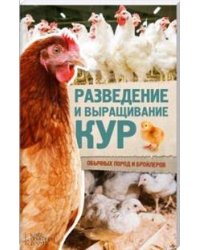 Разведение и выращивание кур обычных пород и бройлеров