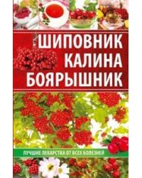 Шиповник, калина, боярышник. Лучшие лекарства от всех болезней