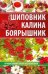 Шиповник, калина, боярышник. Лучшие лекарства от всех болезней