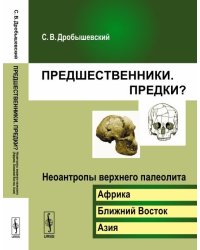 Предшественники. Предки? Неоантропы верхнего палеолита (Африка, Ближний Восток, Азия). Часть 6