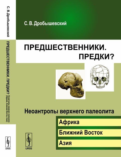 Предшественники. Предки? Неоантропы верхнего палеолита (Африка, Ближний Восток, Азия). Часть 6