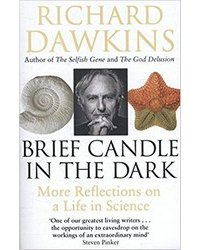 Brief Candle in the Dark