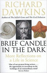 Brief Candle in the Dark