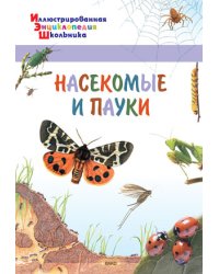Насекомые и пауки