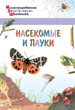 Насекомые и пауки