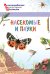 Насекомые и пауки