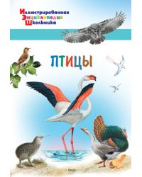 Птицы
