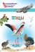 Птицы