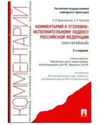 Комментарий к Уголовно-исполнительному кодексу Российской Федерации (постатейный)
