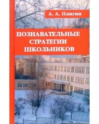 Познавательные стратегии школьников
