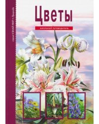 Цветы. Школьный путеводитель