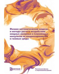 Физико-математические модели и методы расчета воздействия мощных лазерных и плазменных импульсов на конденсированные и газовые среды